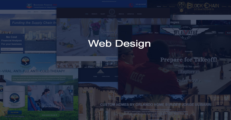 webdesignsection-1